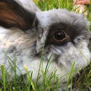 Meet your Posher, Cassie